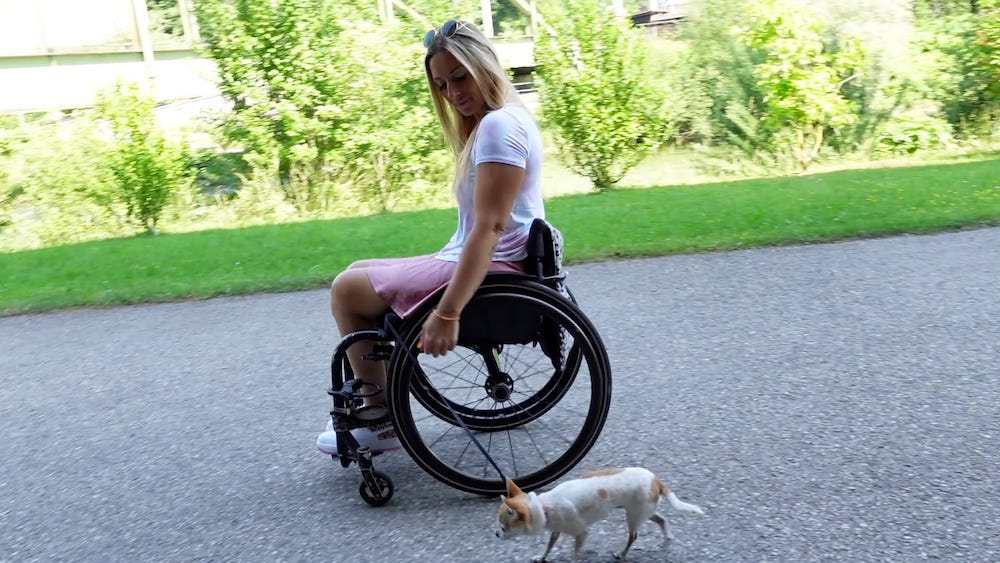 Hund und Rollstuhl